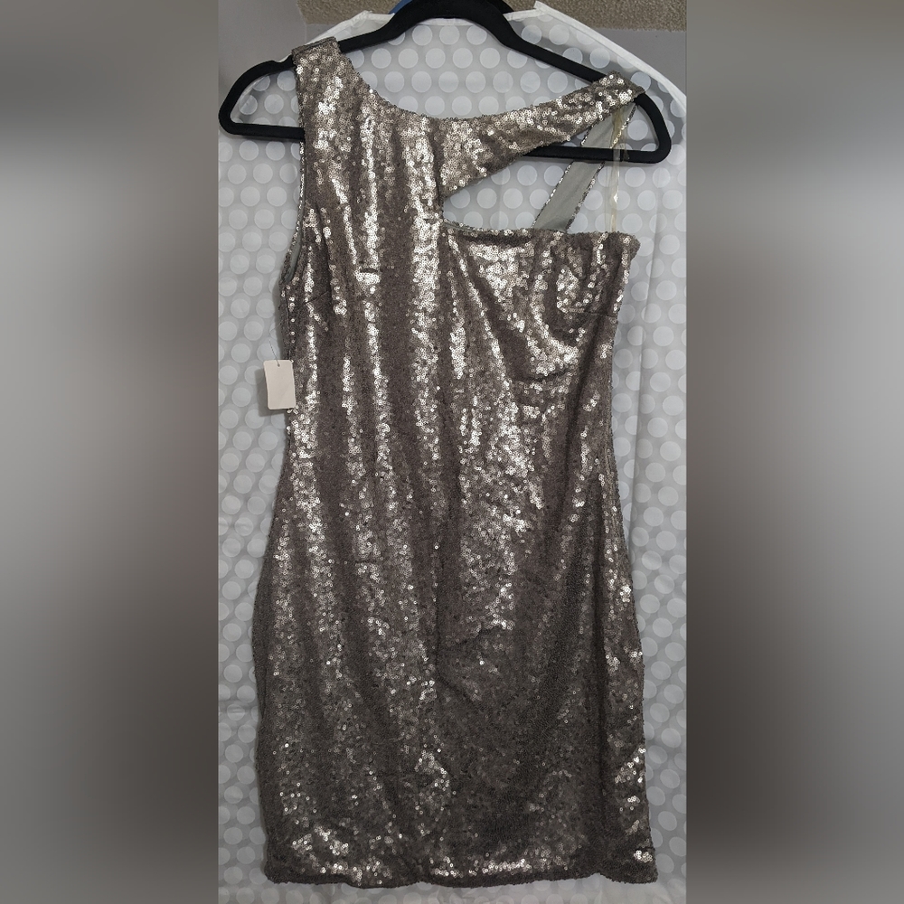 Silver Sequin dress